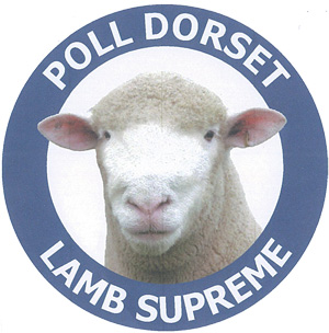 haven park - poll dorset lamb supplier